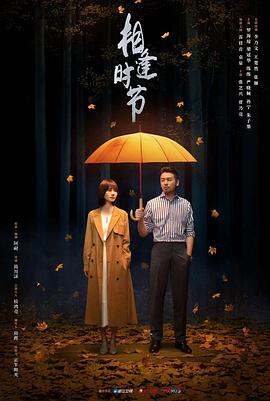 电影:相逢时节