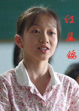 电影:红尾鸽