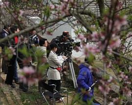 电影：夫妻哨