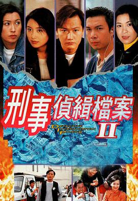 电影：刑事侦缉档案2国语版