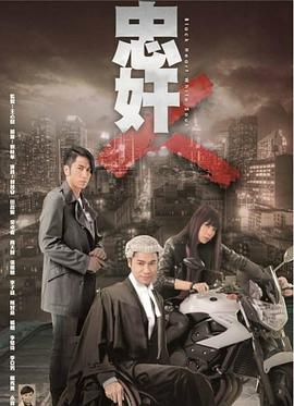 电影:忠奸人国语版
