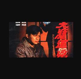 电影：天涯追凶国语版