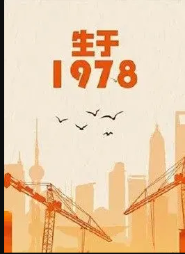 电影:生于1978