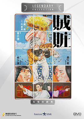 电影：贼赃
