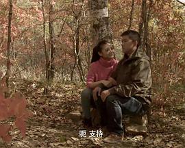 电影:七彩田野