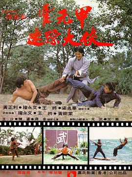 电影:迷踪霍元甲