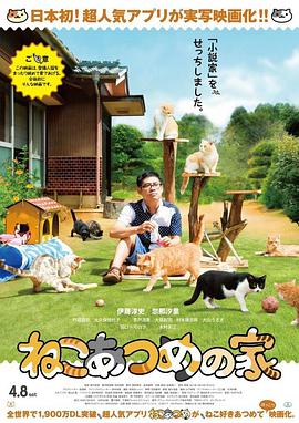 电影：猫咪后院之家