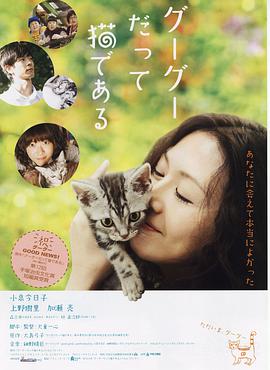 电影：咕咕是一只猫