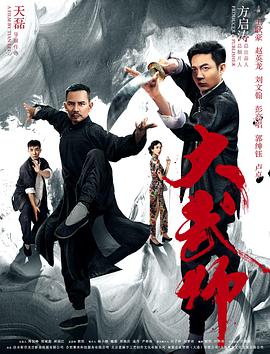 电影:大武师