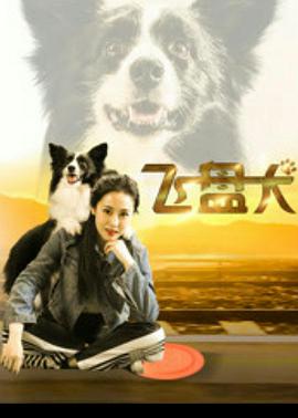 电影：飞盘犬