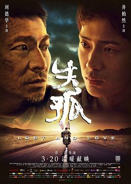 电影：失孤