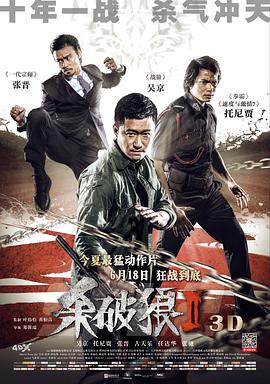 电影：杀破狼2