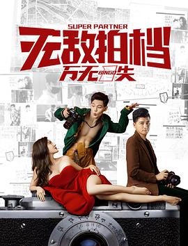 电影:无敌拍档之万无一失