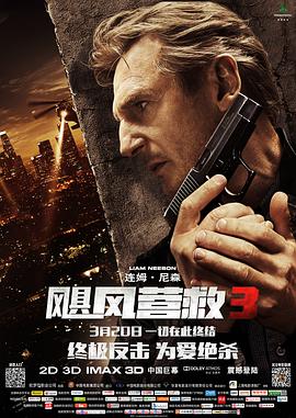 电影：飓风营救3