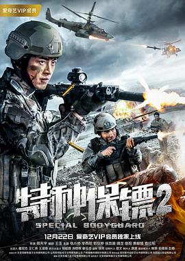 电影:特种保镖2
