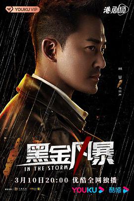 电影:黑金风暴国语版