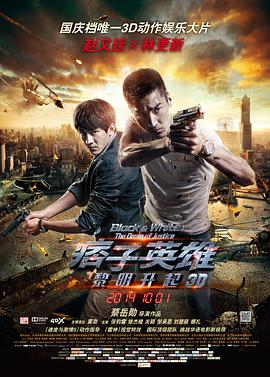 电影：痞子英雄2：黎明升起