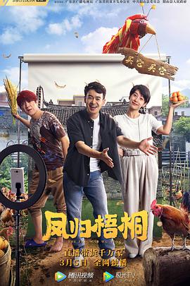 电影:凤归梧桐