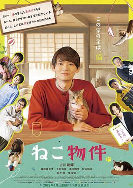 电影:猫物件