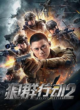 电影：狼群行动2