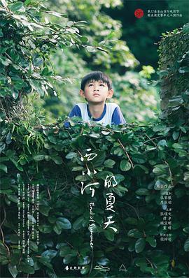 电影：西小河的夏天