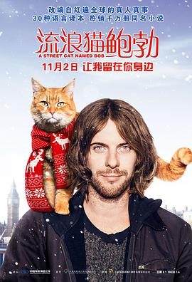 电影:流浪猫鲍勃