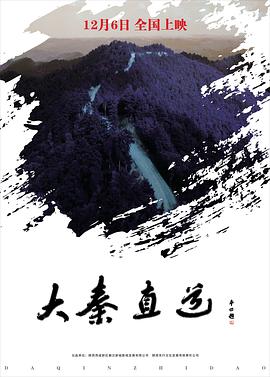 电影:大秦直道2017