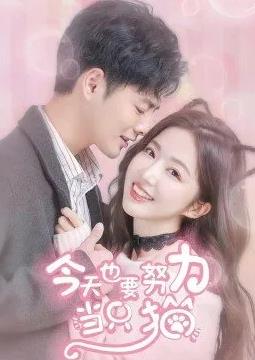 电影:今天也要努力当只猫
