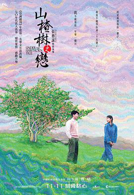 电影:山楂树之恋