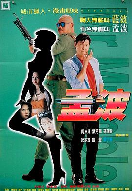 电影:孟波