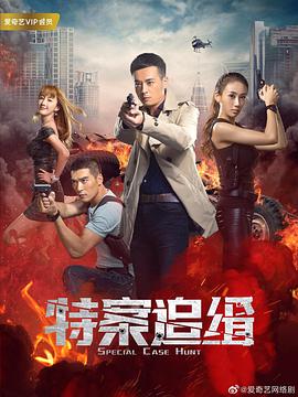 电影:特案追缉