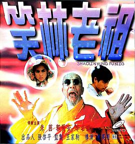 电影：少林龙小子