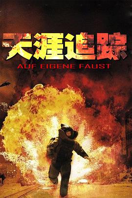 电影:天涯追踪