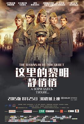 电影:这里的黎明静悄悄(2015)
