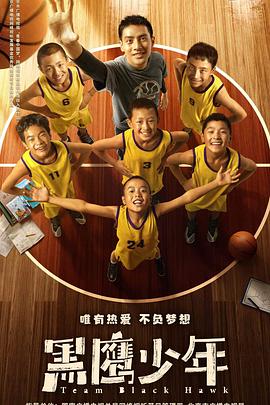 电影：黑鹰少年