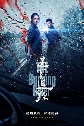 电影：迷雾追踪