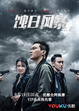 电影:蚀日风暴国语