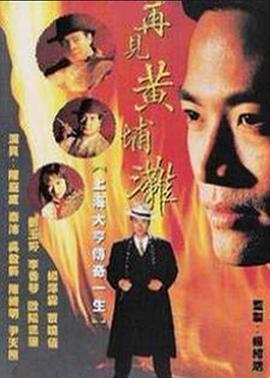 电影:再见黄埔滩2国语版