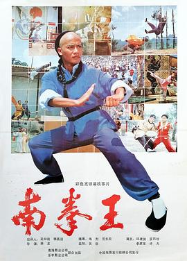 电影：南拳王