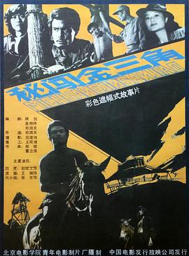 电影：秘闯金三角