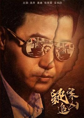 电影:疑案追凶