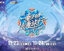 电影：妻子的浪漫旅行第六季