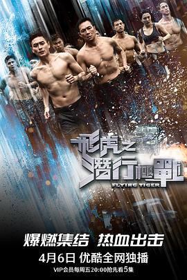 电影：飞虎之潜行极战国语