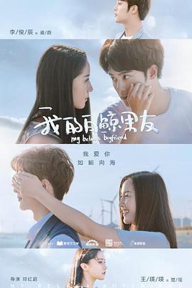 电影：我的白鲸男友第二季