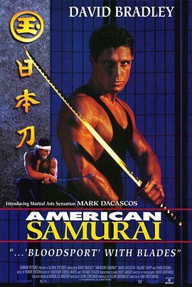 电影：武士奇遇