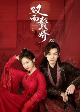 电影:双面赘婿