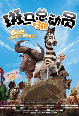 电影：斑马总动员
