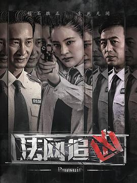 电影：法网追凶第三季