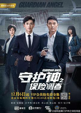电影：守护神之保险调查