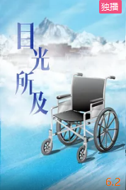 电影:目光所及